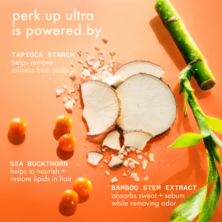 amika Perk Up Ultra Oil Control Dry Shampoo