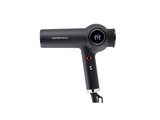 MINT Dragonfly Ionic Dryer